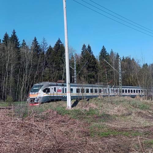 Photo #13565319
