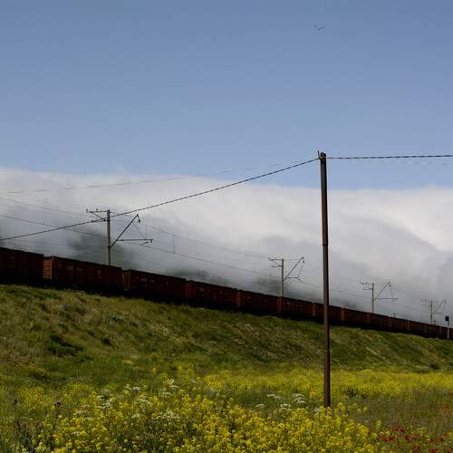 Photo #13565331