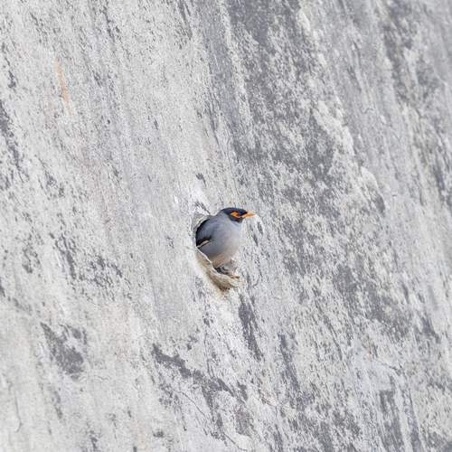Photo #13565345