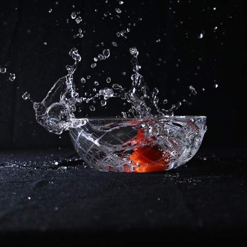Photo #13565395