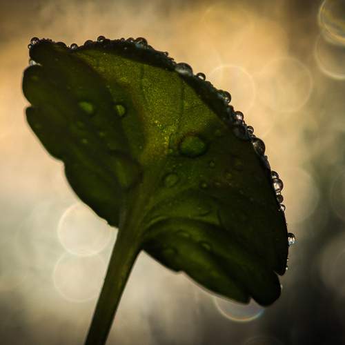 Photo #13565442