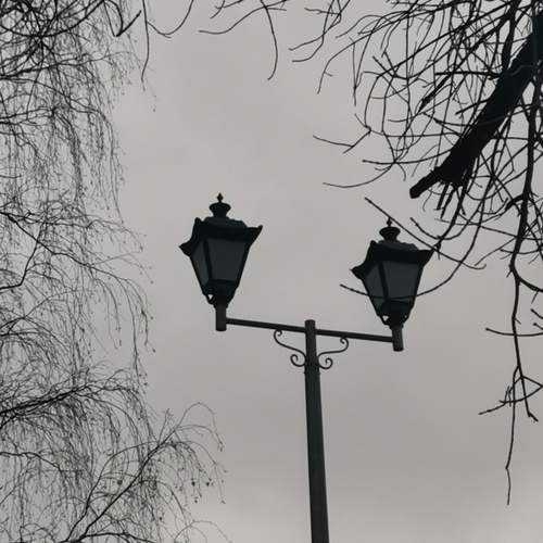 Photo #13565477