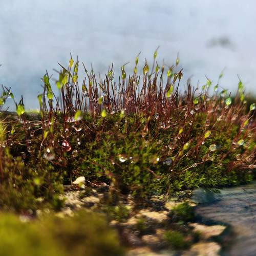 Photo #13565549