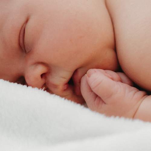 Photo #13565622