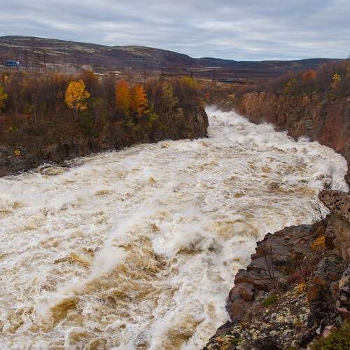 Photo #13565636