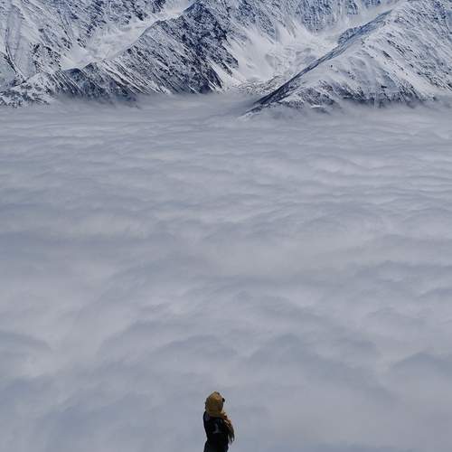 Photo #13565661