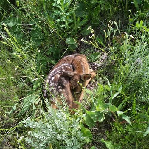 Photo #13565704