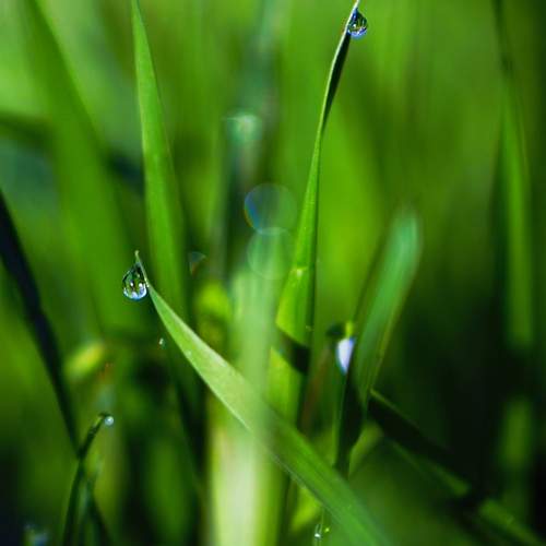 Photo #13565706