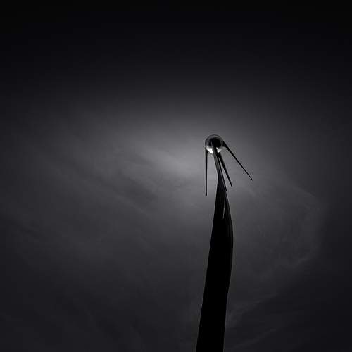 Photo #13565744