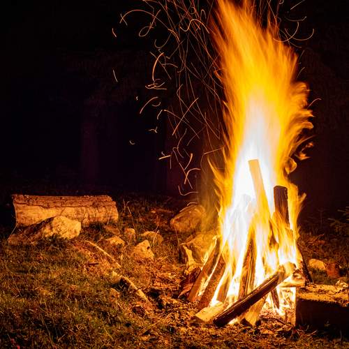 Photo #13565828