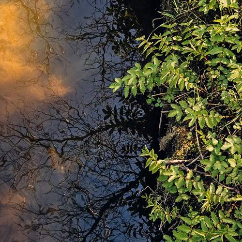 Photo #13565899