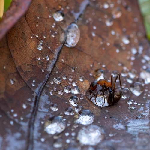 Photo #13565926