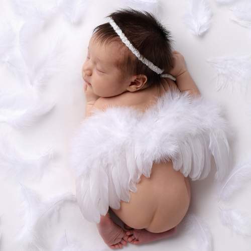 Photo #13565965