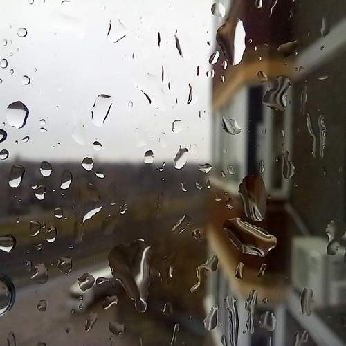 Photo #13565974