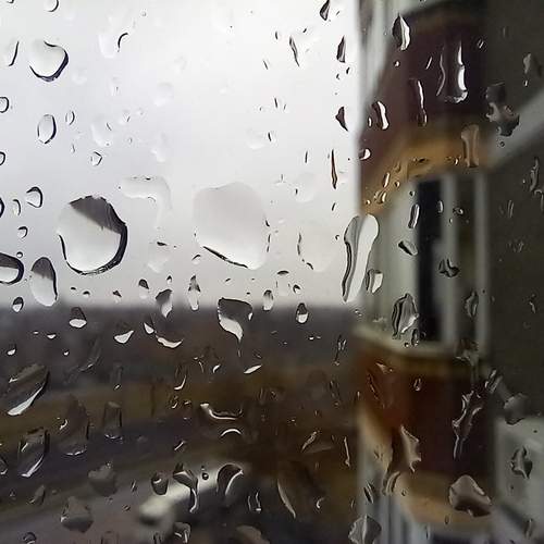 Photo #13565975