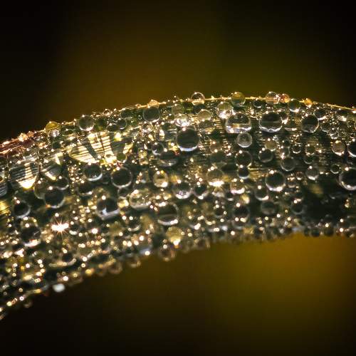 Photo #13565978