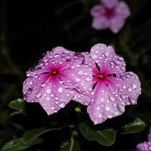 Photo #13566031