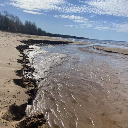 Photo #13566061