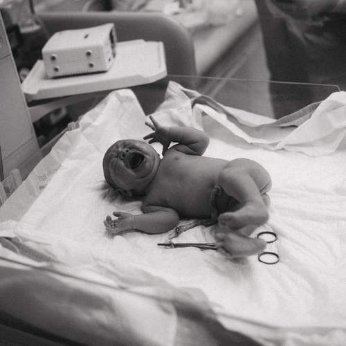 Photo #13566070