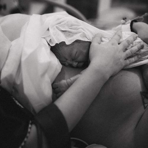 Photo #13566076