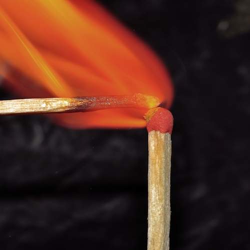 Photo #13566103