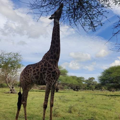 Photo #13566160