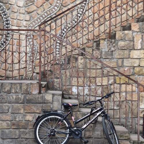 Photo #13566184