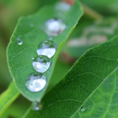 Photo #13566219