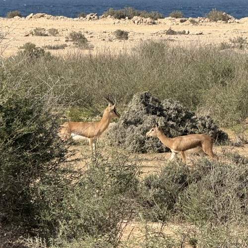 Photo #13566228