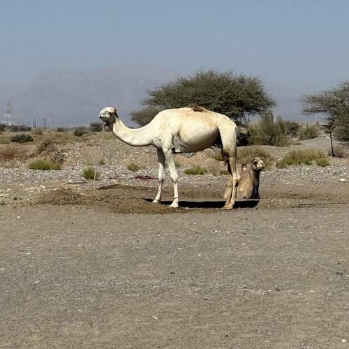 Photo #13566229