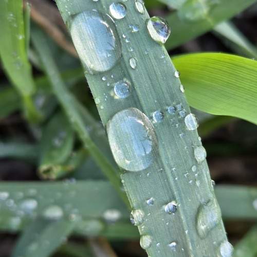 Photo #13566235