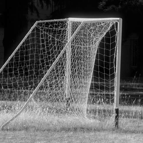 Photo #13566261