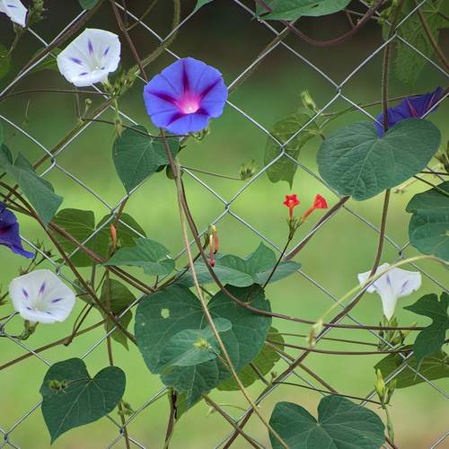 Photo #13566265