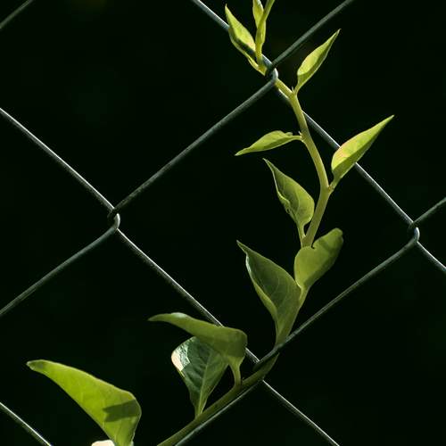 Photo #13566267