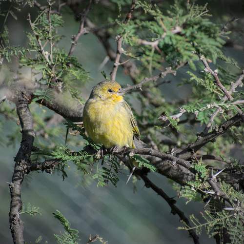 Photo #13566269