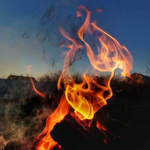 Photo #13566334