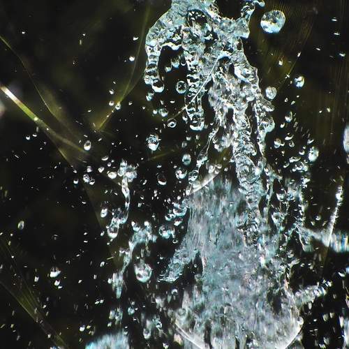 Photo #13566349