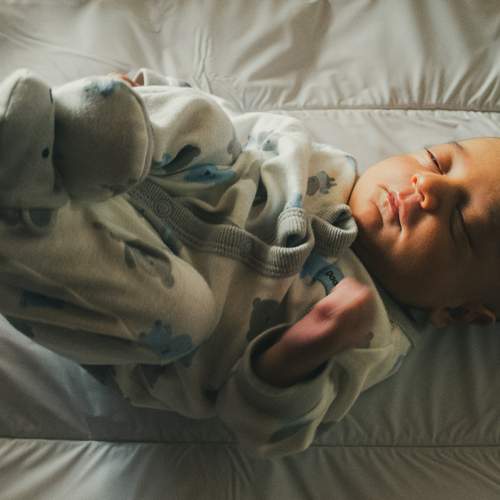 Photo #13566372