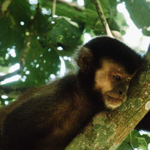 Photo #13566374