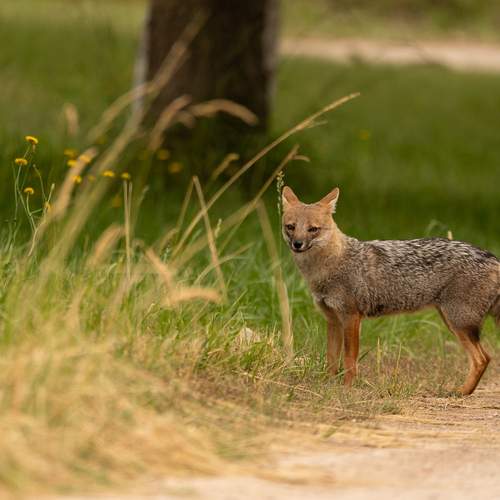 Photo #13566447