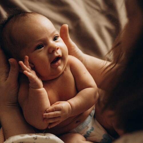 Photo #13566557