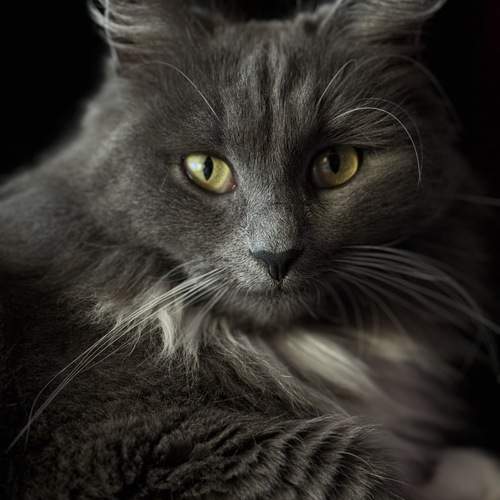 Photo #13566569