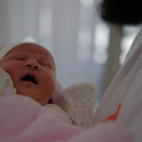 Photo #13566690