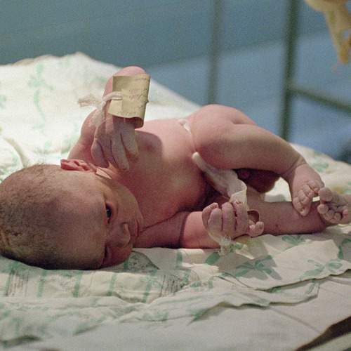 Photo #13566702