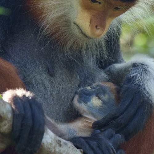 Mother\'s Love