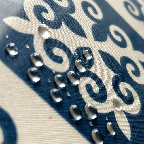 Photo #13566794