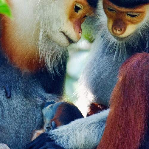 Photo #13566822