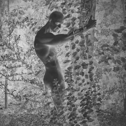 Photo #13566992