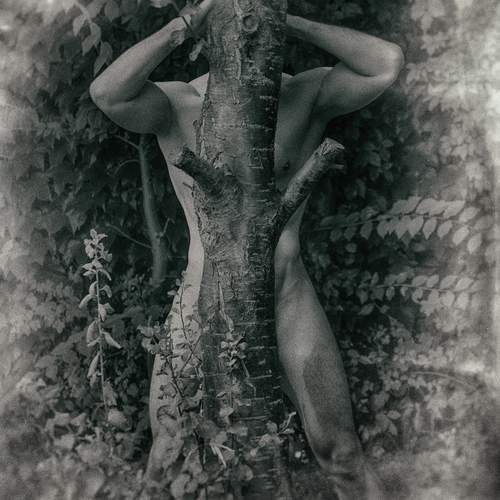 Photo #13566993
