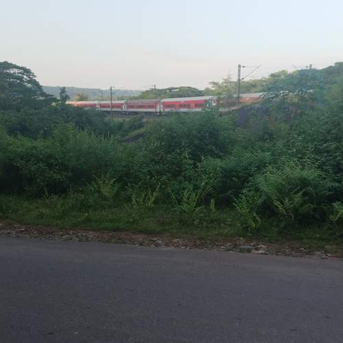 Train blending with nature